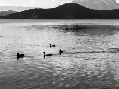 SlotoCash Kazino Mobilā lietotne